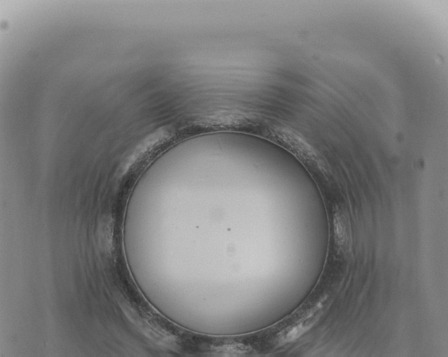 X0000073710396200608101844