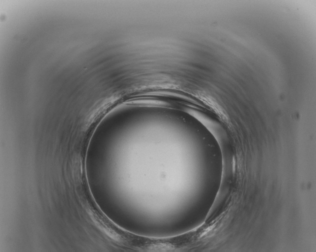 X0000073710397200608101844