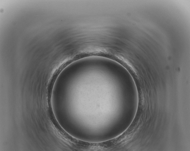 X0000073710399200608101844