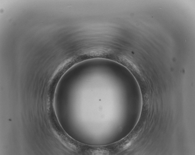 X0000073710400200608101844