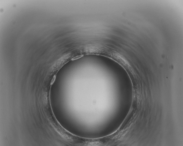 X0000073710401200608101844