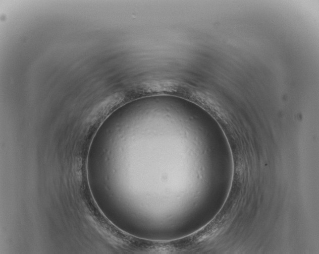 X0000073710402200608101844