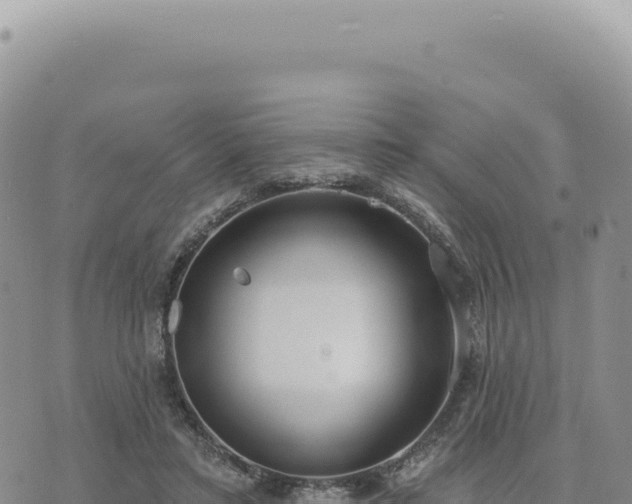 X0000073710403200608101844