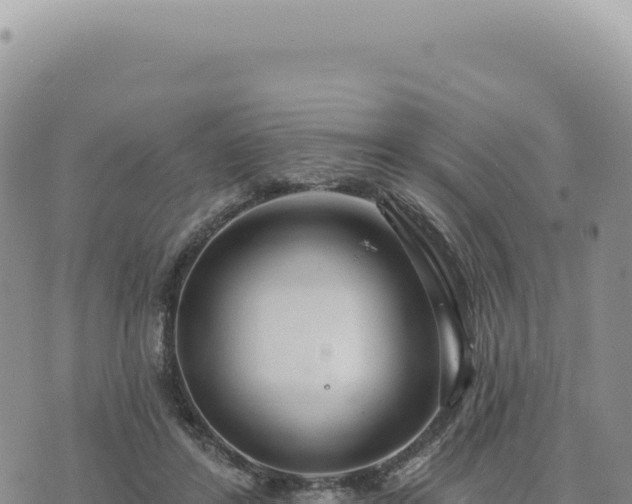 X0000073710404200608101844