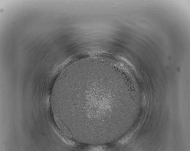 X0000073710405200608101844