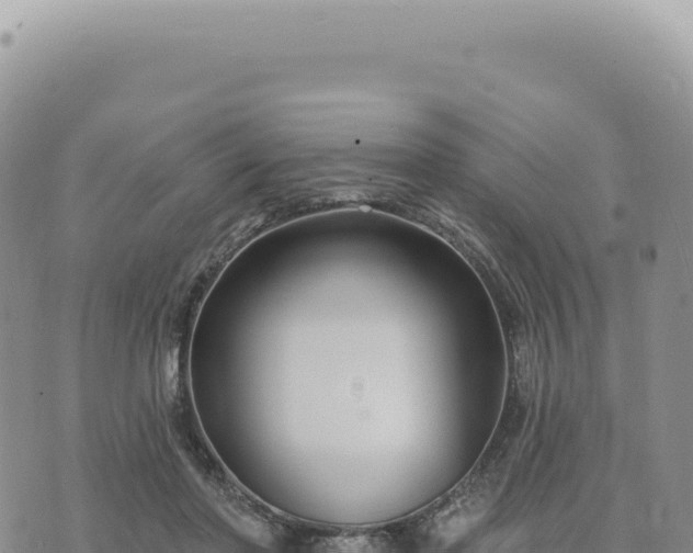 X0000073710406200608101844