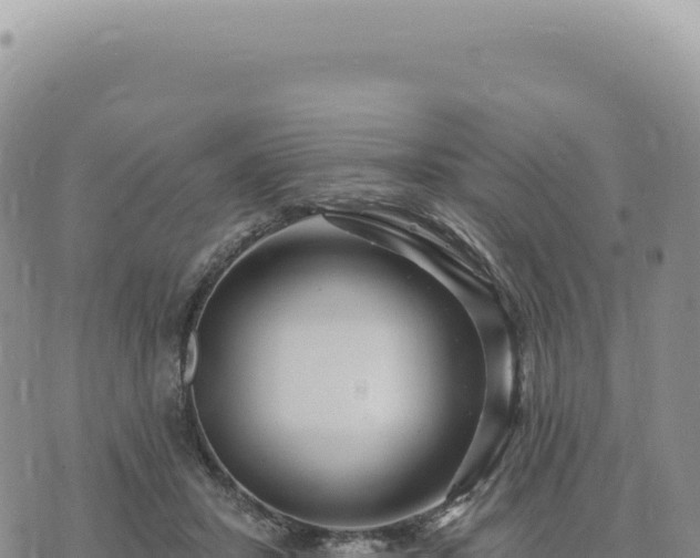 X0000073710407200608101844