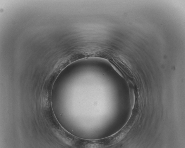 X0000073710408200608101844