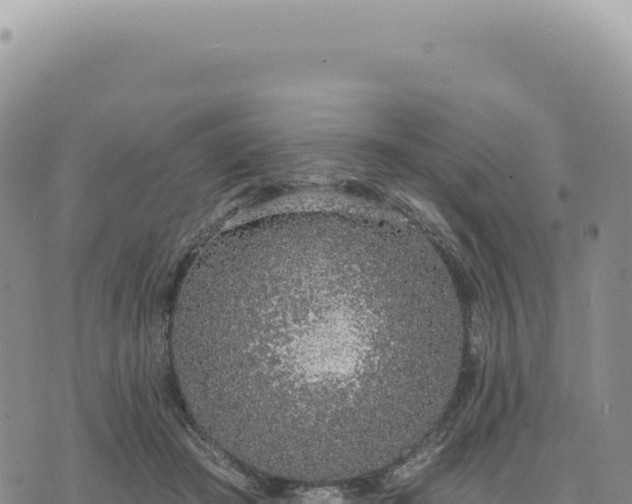 X0000073710409200608101844