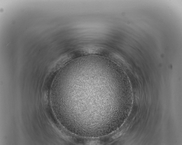 X0000073710410200608101844