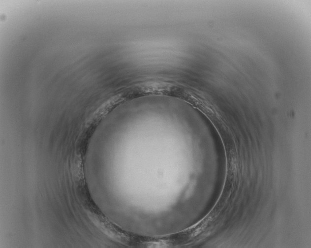 X0000073710411200608101844