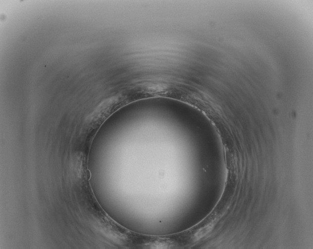 X0000073710412200608101844