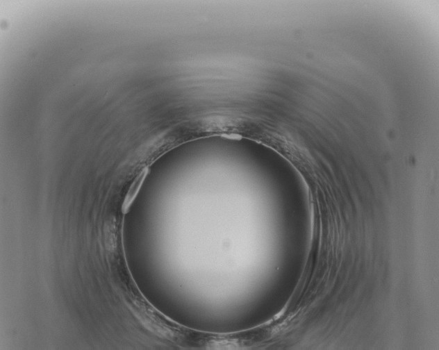 X0000073710413200608101844