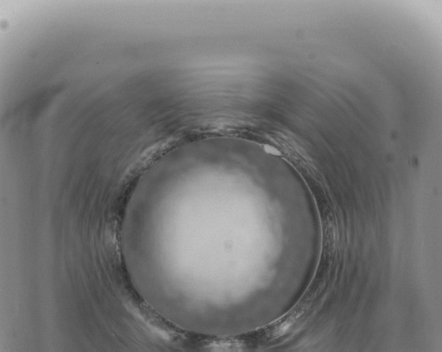 X0000073710415200608101844