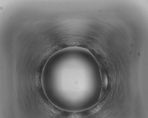 X0000073710416200608101844