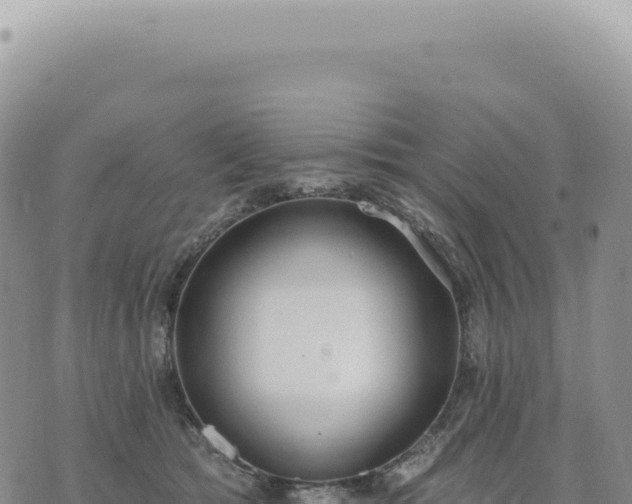 X0000073710417200608101844