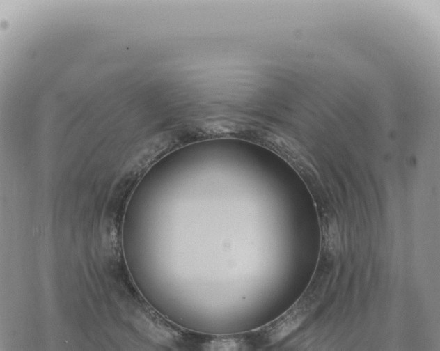 X0000073710418200608101844