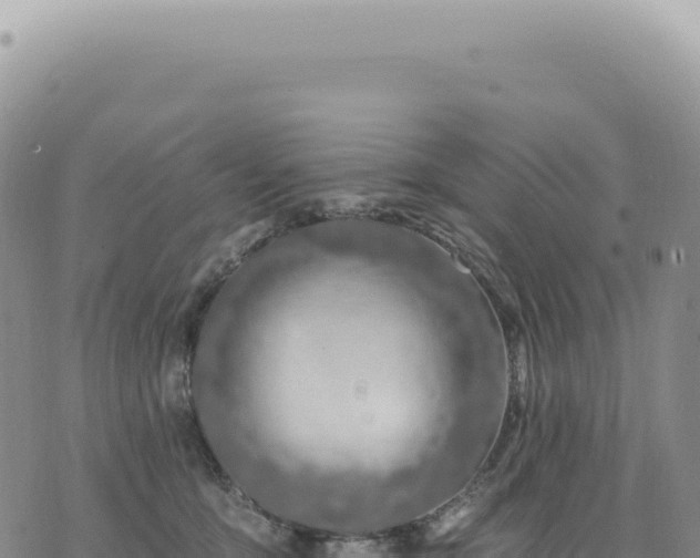 X0000073710419200608101844