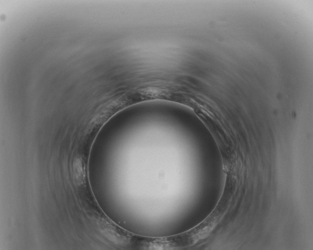 X0000073710420200608101844