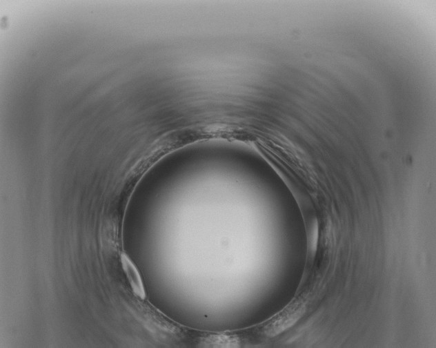 X0000073710421200608101844