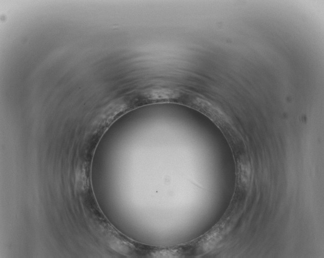 X0000073710422200608101844