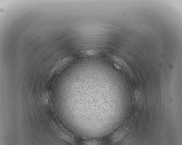 X0000073710423200608101844