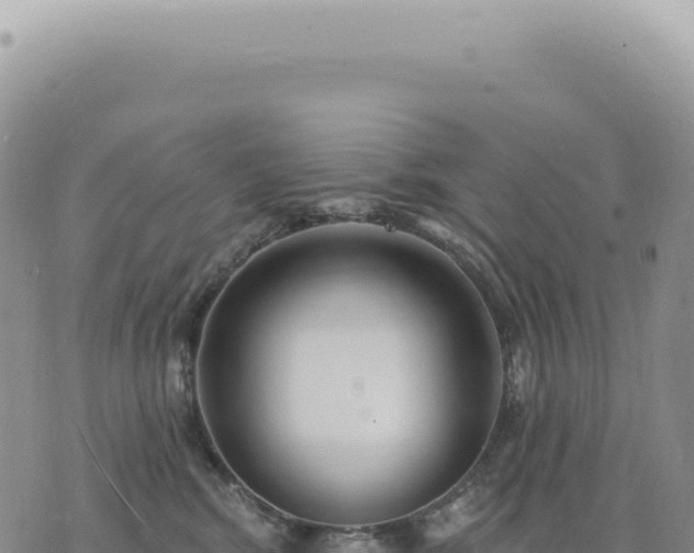 X0000073710424200608101844