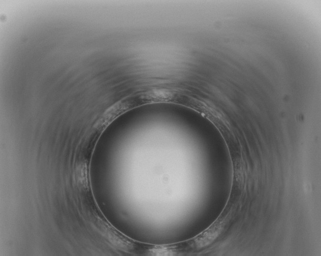 X0000073710425200608101844