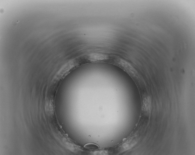 X0000073710426200608101843