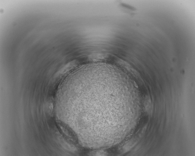 X0000073710427200608101843