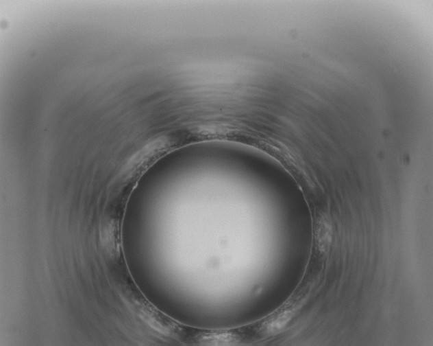 X0000073710428200608101843