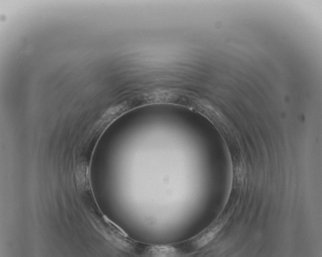 X0000073710429200608101843