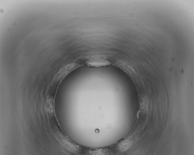 X0000073710430200608101843