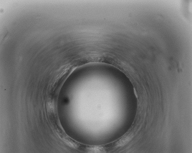 X0000073710432200608101843