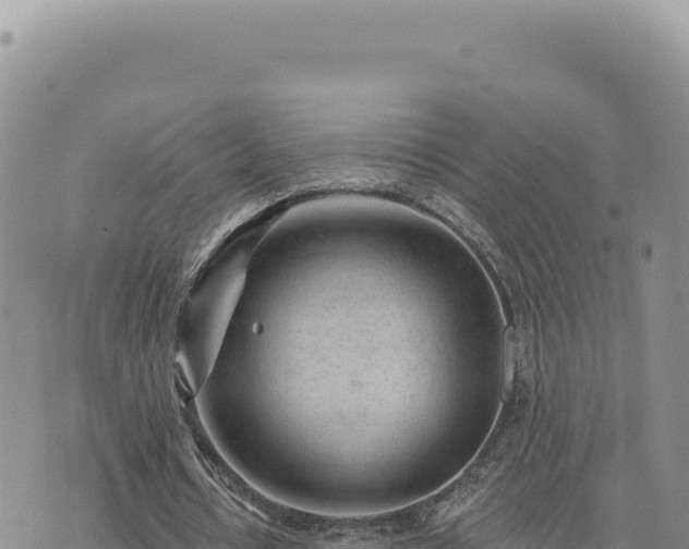 X0000073710434200608101843