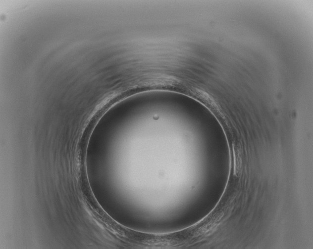 X0000073710435200608101843