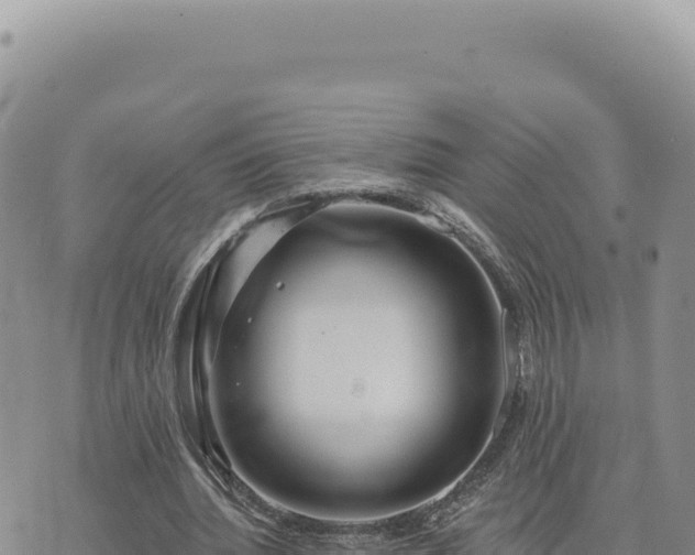 X0000073710436200608101843