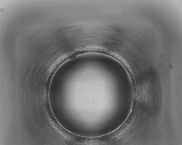 X0000073710437200608101843