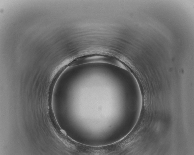 X0000073710438200608101843