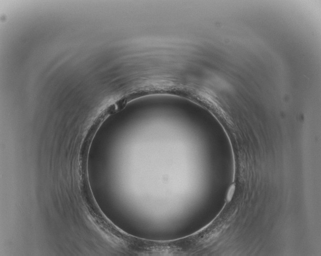 X0000073710439200608101843