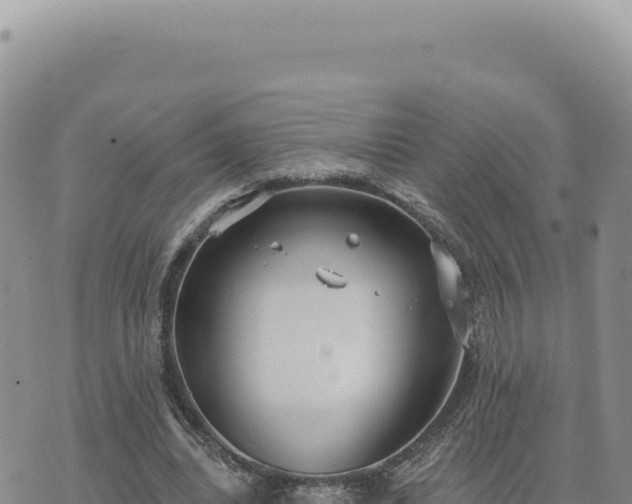 X0000073710440200608101843