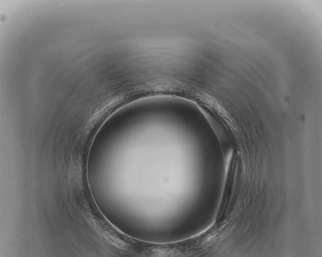 X0000073710442200608101843