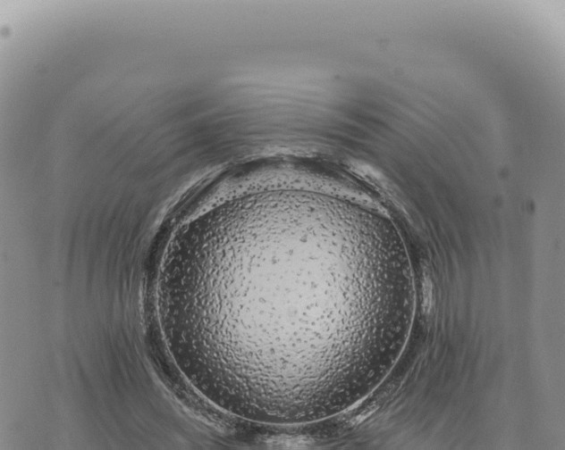 X0000073710444200608101843