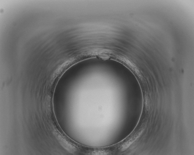 X0000073710445200608101843