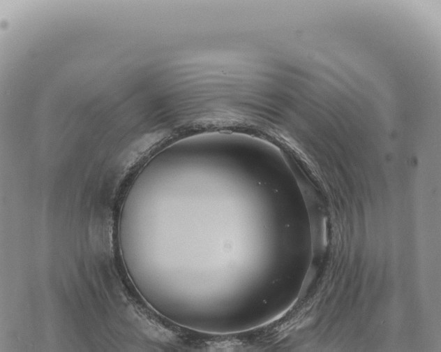 X0000073710446200608101843