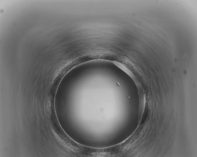 X0000073710448200608101843