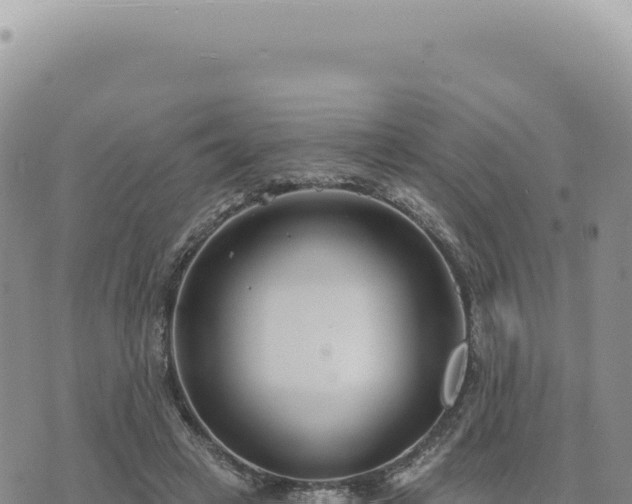 X0000073710449200608101843