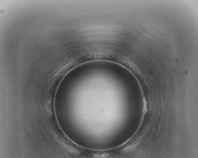 X0000073710450200608101843