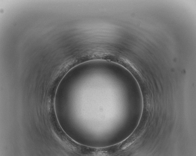 X0000073710451200608101843