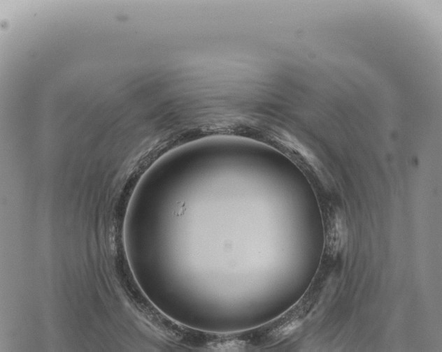 X0000073710452200608101843